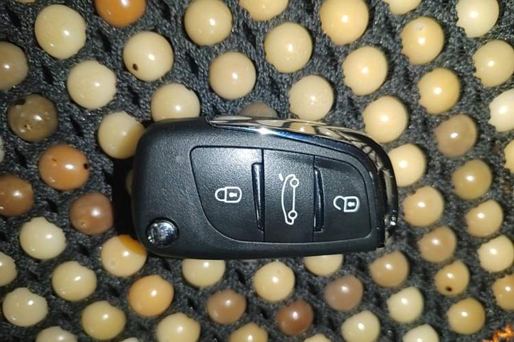 Used GAC Trumpchi M6 2021 PRO 270T DCT Elite Edition Vehicle Key