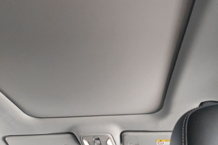 Used GAC Trumpchi M6 2021 PRO 270T DCT Luxury Edition Headliner