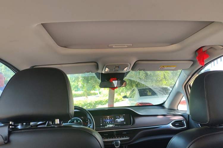 Used GAC Trumpchi M6 2021 PRO 270T DCT Luxury Edition Headliner