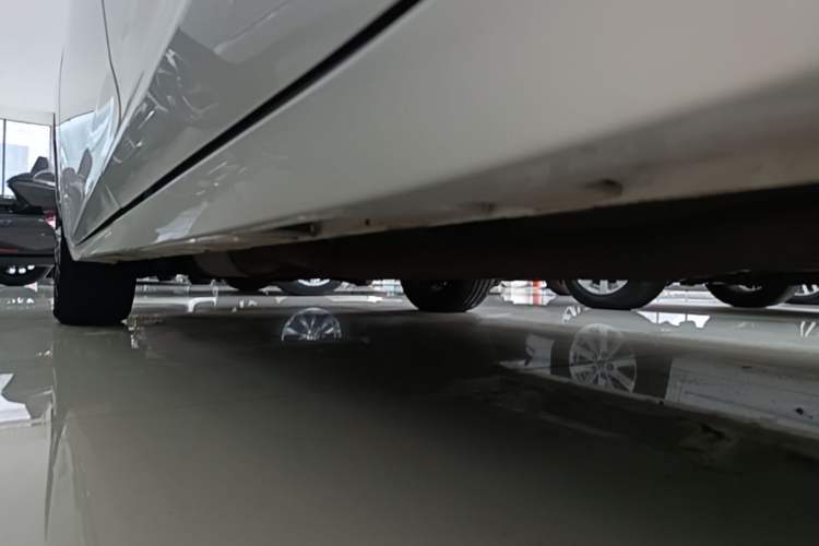 Used GAC Trumpchi M6 2021 PRO 270T Automatic Luxury Edition Left Side Sill