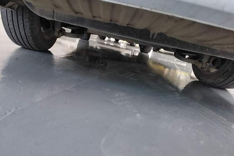 Used GAC Trumpchi M6 2023 PRO 270T DCT Luxury Edition Chassis Rear