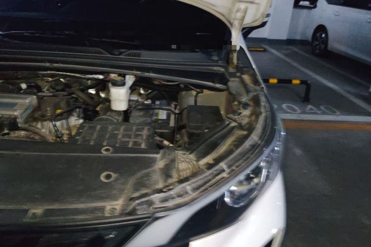 Used GAC Trumpchi M6 2023 PRO 270T DCT Elite Edition Engine Bay Left