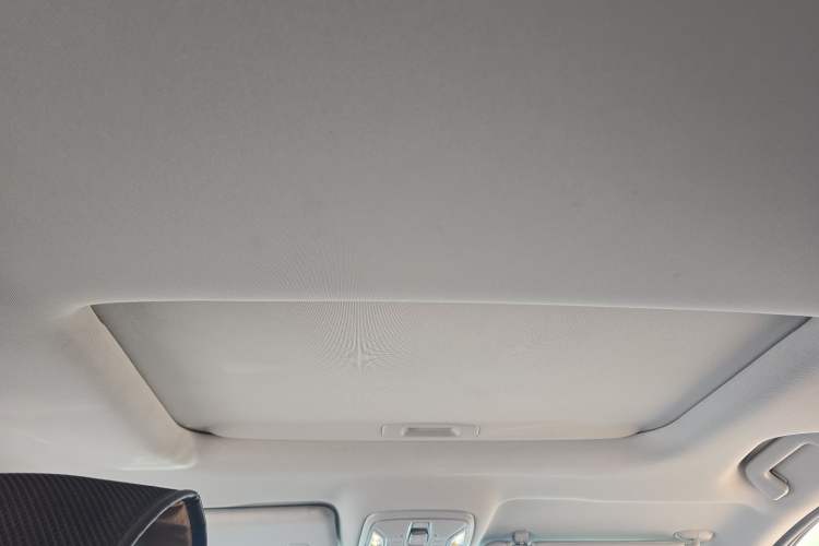 Used GAC Trumpchi M6 2023 PRO 270T DCT Luxury Edition Headliner