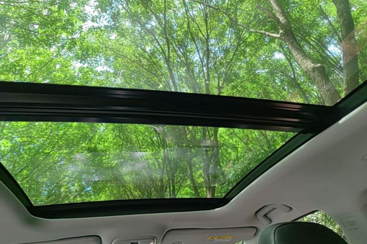 Used GAC Trumpchi M6 2023 PRO 270T DCT Luxury Edition Headliner