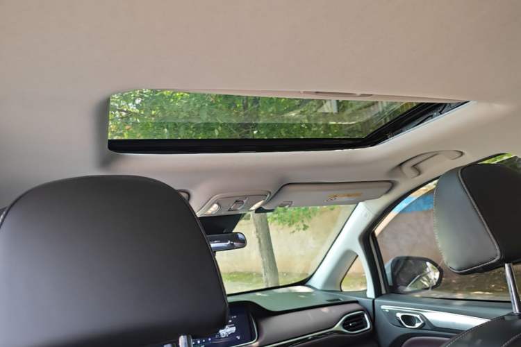Used GAC Trumpchi M6 2023 PRO 270T DCT Luxury Edition Headliner
