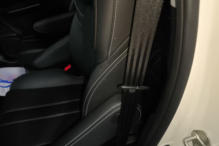 Used GAC Trumpchi M6 2023 PRO 270T DCT Luxury Edition Left Rear Seat
