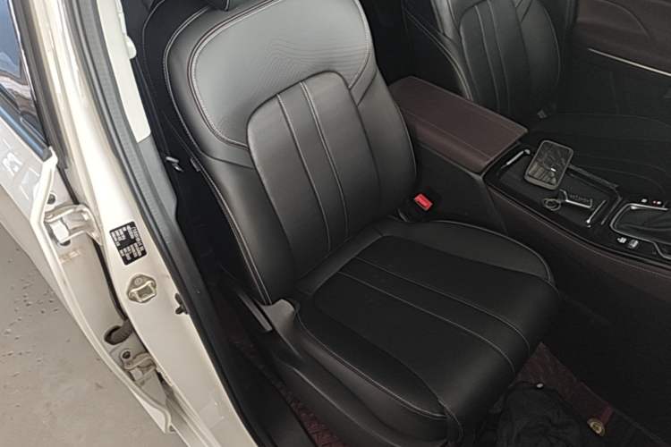 Used GAC Trumpchi M6 2023 PRO 270T DCT Luxury Edition Right Front Seat
