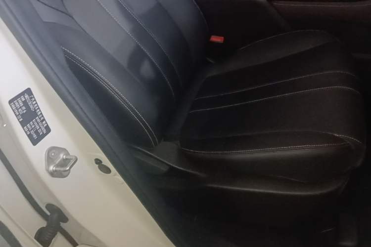 Used GAC Trumpchi M6 2023 PRO 270T DCT Luxury Edition Right Front Seat