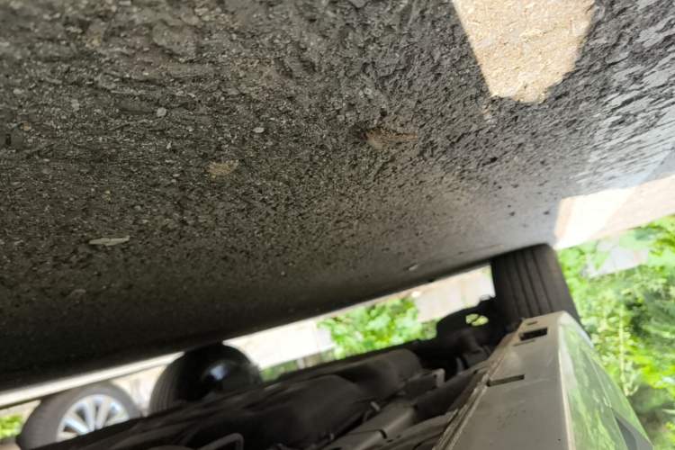 Used GAC Trumpchi M6 2023 PRO 270T DCT Luxury Edition Right Side Sill