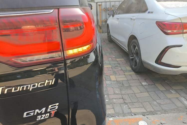 Used GAC Trumpchi M8 2018 320T Luxury Edition Exterior 3