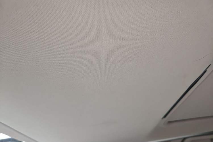 Used GAC Trumpchi M8 2018 320T Flagship Edition Headliner