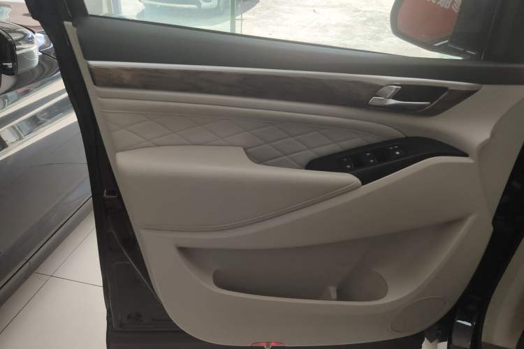 Used GAC Trumpchi M8 2018 320T Luxury Edition Left Front Door Interior
