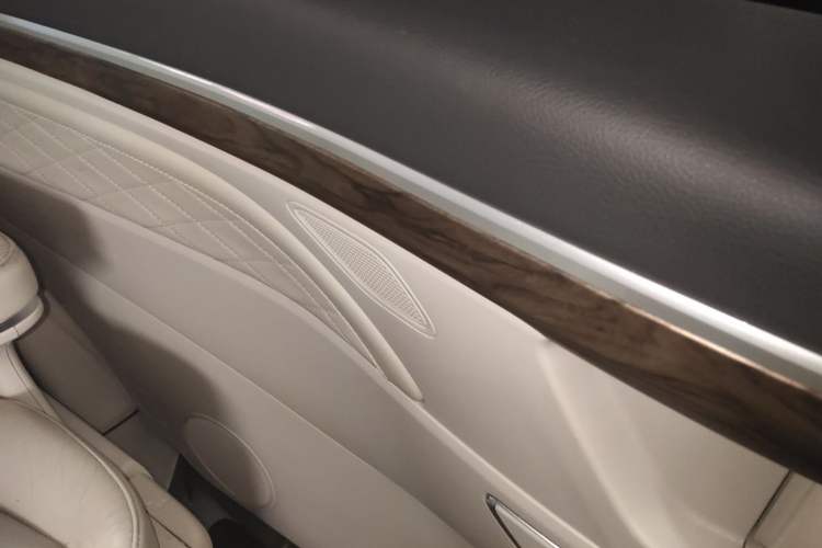 Used GAC Trumpchi M8 2018 320T Luxury Edition Left Rear Door Interior