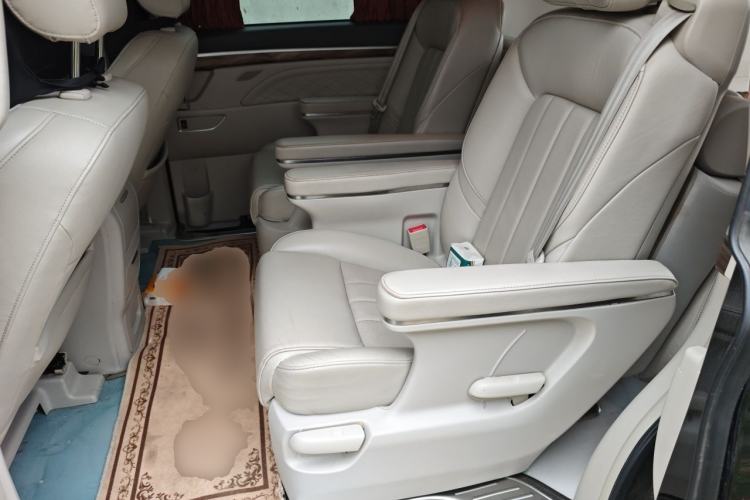 Used GAC Trumpchi M8 2018 320T Luxury Edition Left Rear Seat