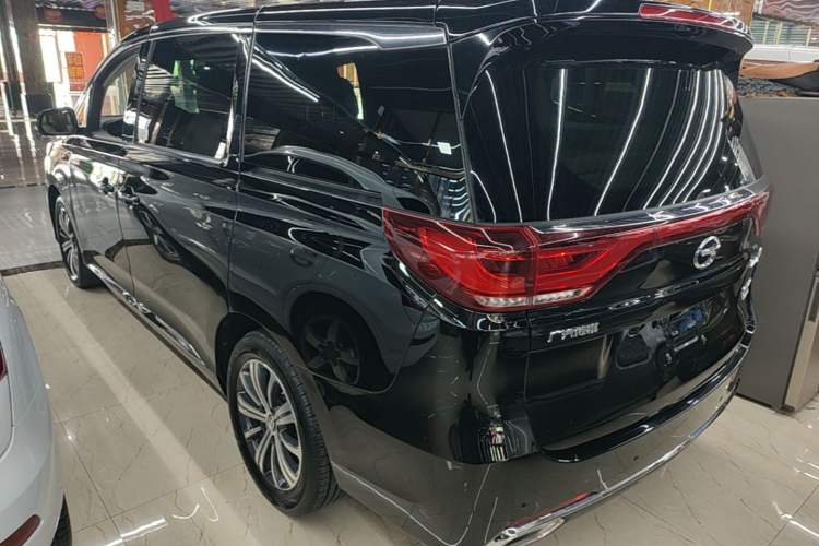 Used GAC Trumpchi M8 2018 320T Luxury Edition Rear Left 45 Deg
