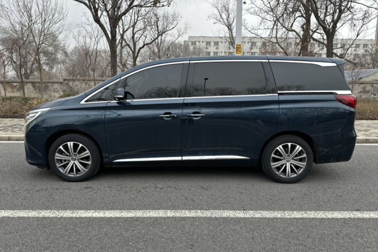 Used GAC Trumpchi M8 2018 320T Luxury Edition Exterior 4