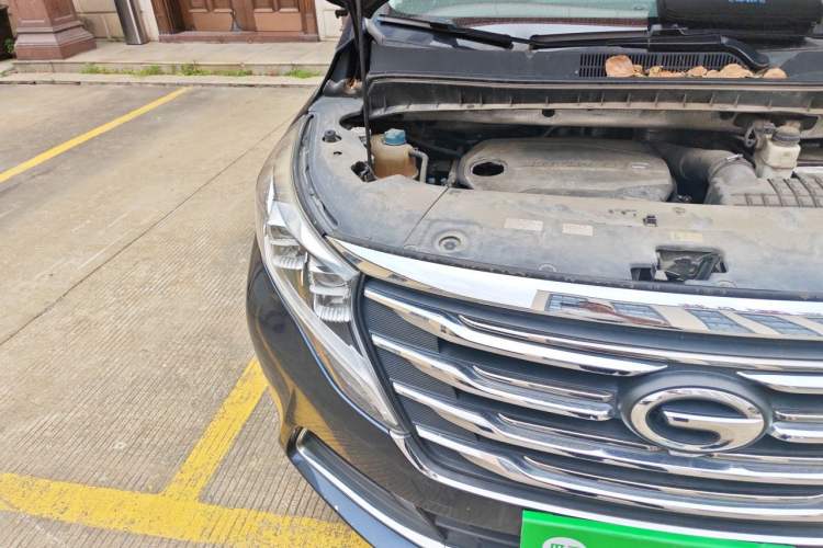 Used GAC Trumpchi M8 2018 320T Luxury Edition Exterior 6