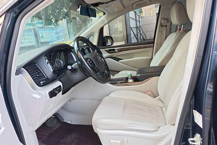 Used GAC Trumpchi M8 2018 320T Luxury Edition Left Front Seat