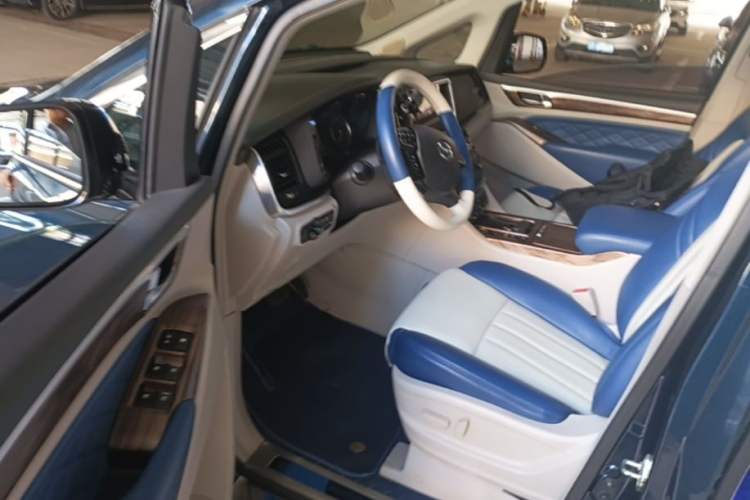 Used GAC Trumpchi M8 2018 320T Luxury Edition Left Front Seat