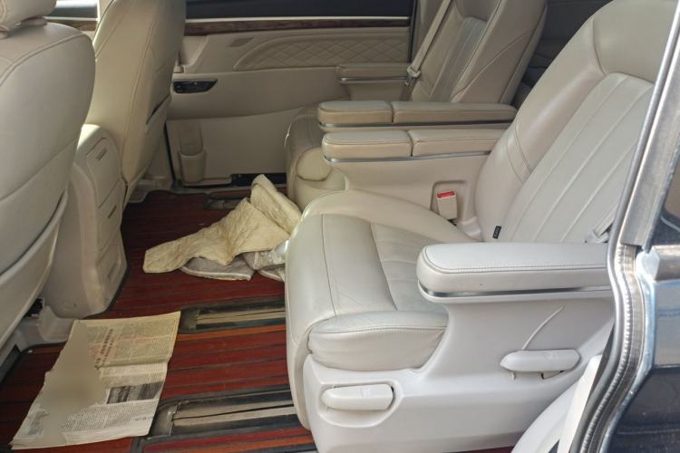 Used GAC Trumpchi M8 2018 320T Luxury Edition Left Rear Seat