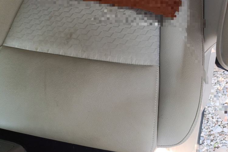 Used GAC Trumpchi M8 2018 320T Luxury Edition Left Rear Seat
