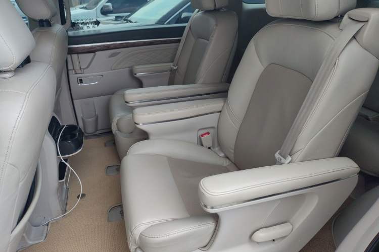 Used GAC Trumpchi M8 2018 320T Luxury Edition Left Rear Seat