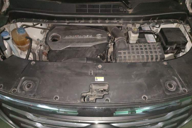 Used GAC Trumpchi M8 2018 320T Luxury Edition Engine Bay