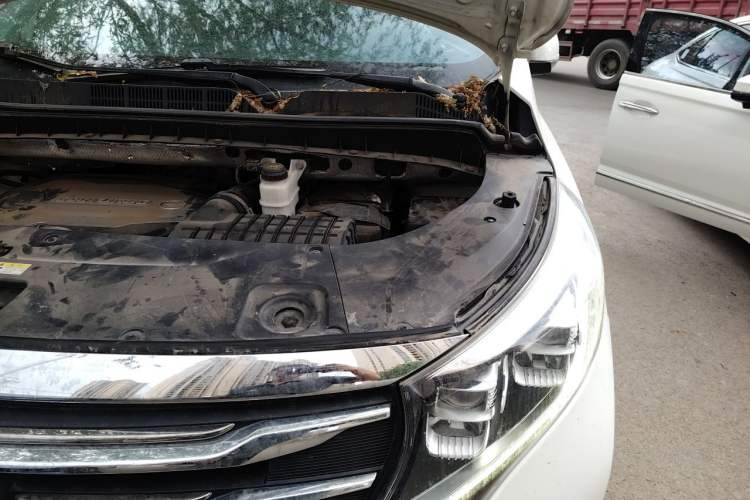 Used GAC Trumpchi M8 2018 320T Luxury Edition Engine Bay Left