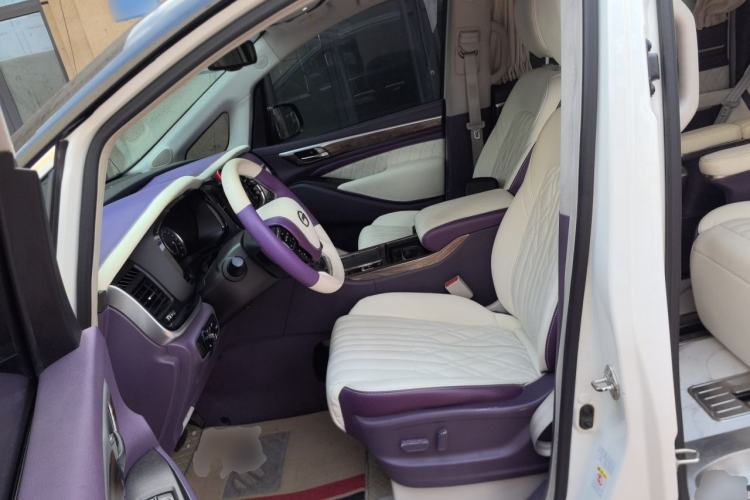Used GAC Trumpchi M8 2018 320T Luxury Edition Left Front Seat
