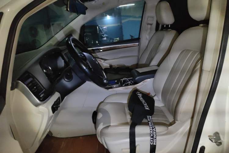 Used GAC Trumpchi M8 2018 320T Luxury Edition Left Front Seat
