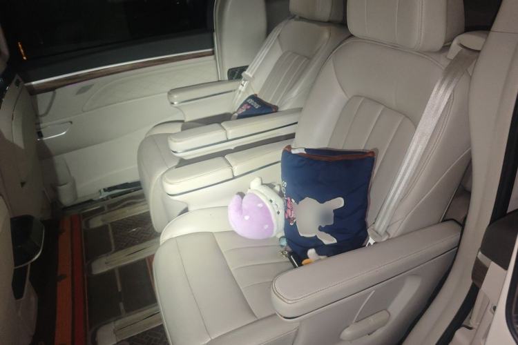 Used GAC Trumpchi M8 2018 320T Luxury Edition Left Rear Seat