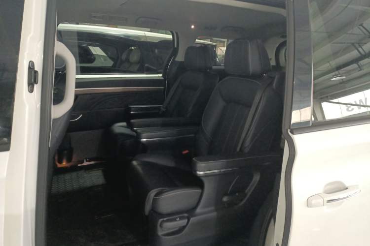 Used GAC Trumpchi M8 2018 320T Luxury Edition Left Rear Seat