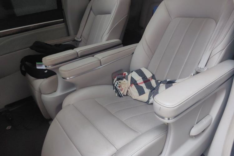 Used GAC Trumpchi M8 2018 320T Luxury Edition Left Rear Seat