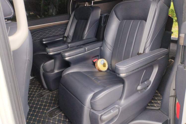 Used GAC Trumpchi M8 2018 320T Luxury Edition Left Rear Seat