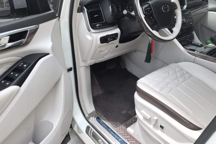Used GAC Trumpchi M8 2018 320T Luxury Edition Left Rear Seat