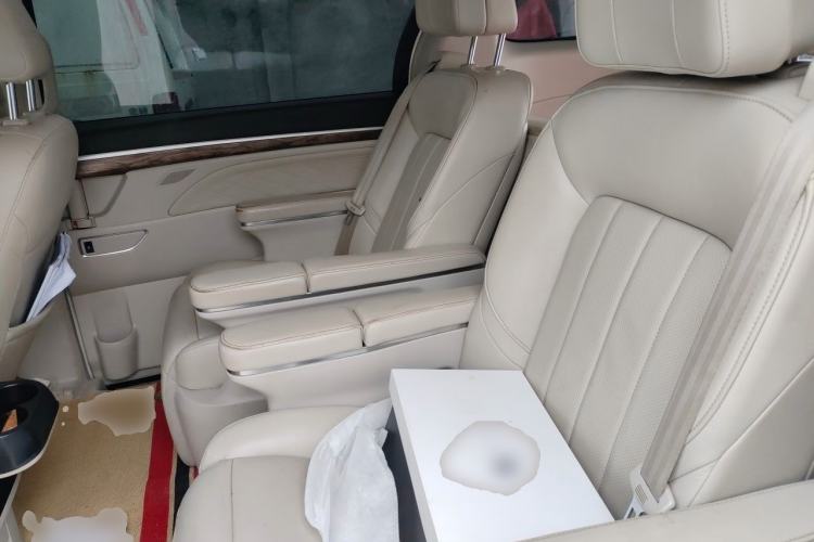 Used GAC Trumpchi M8 2018 320T Luxury Edition Left Rear Seat