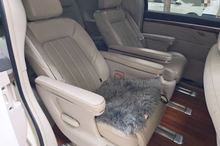 Used GAC Trumpchi M8 2018 320T Luxury Edition Left Rear Seat