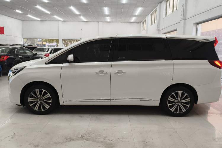 Used GAC Trumpchi M8 2018 320T Luxury Edition Left Side