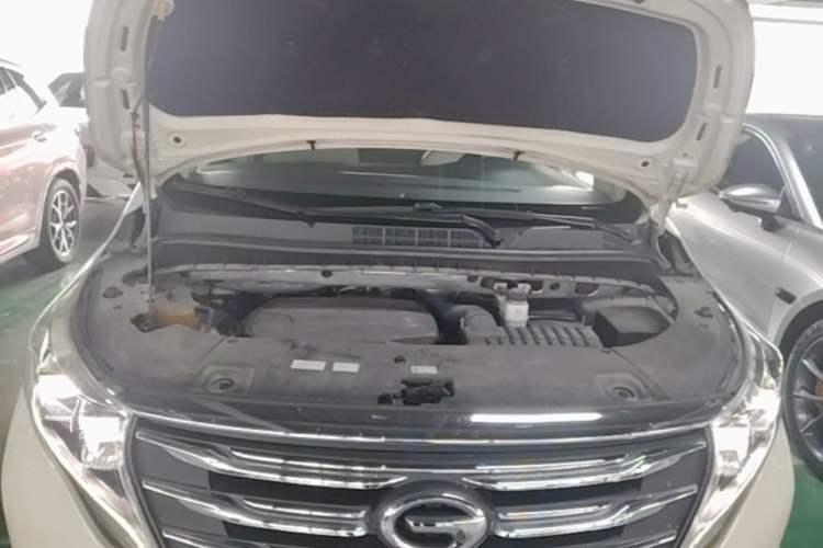 Used GAC Trumpchi M8 2019 320T Ultimate Edition Engine Bay