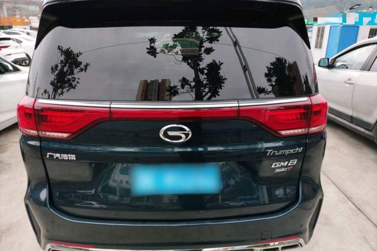 Used GAC Trumpchi M8 2020 Flagship Model 390T Deluxe Edition Exterior 6