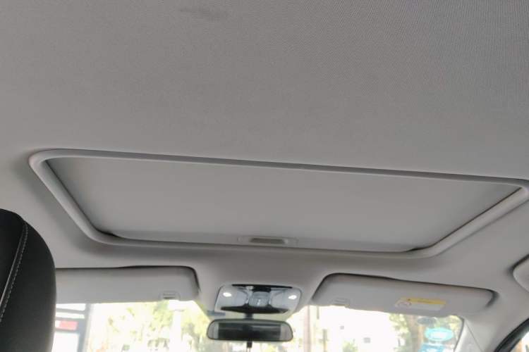 Used GAC Trumpchi M8 2020 Flagship Model 390T Deluxe Edition Headliner