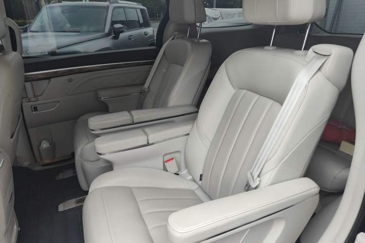 Used GAC Trumpchi M8 2020 Flagship Model 390T Supreme Edition Left Rear Seat