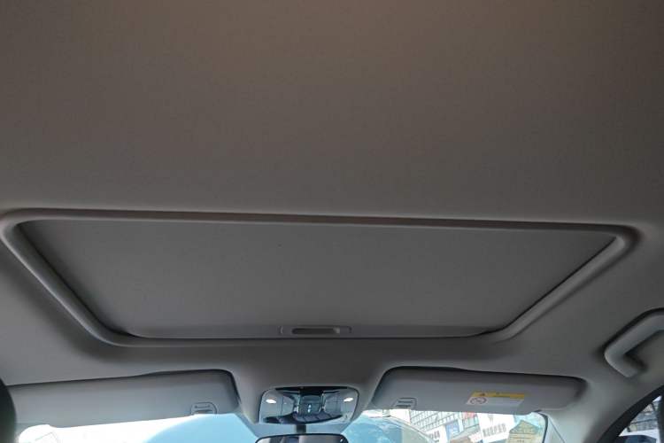 Used GAC Trumpchi M8 2020 Flagship Model 390T Deluxe Edition Headliner