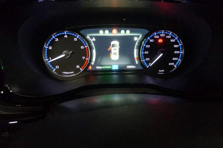 Used GAC Trumpchi M8 2020 Flagship Model 390T Prestige Edition Odometer Close Up