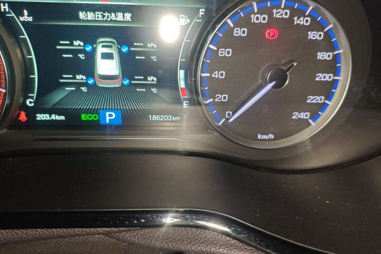 Used GAC Trumpchi M8 2020 Flagship Model 390T Deluxe Edition Odometer Close Up