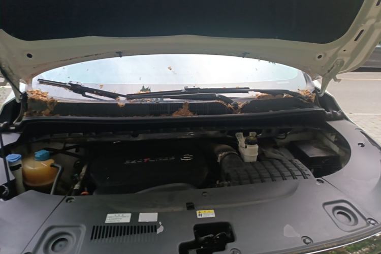 Used GAC Trumpchi M8 2020 Master Edition 390T Supreme Version Engine Bay
