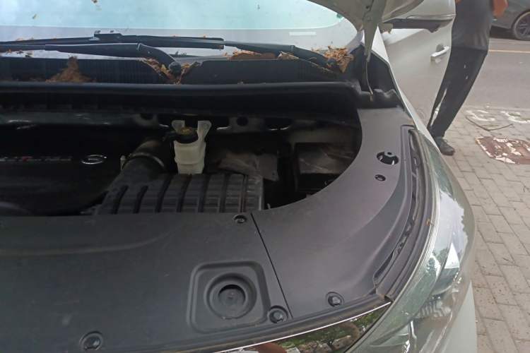 Used GAC Trumpchi M8 2020 Master Edition 390T Supreme Version Engine Bay Left
