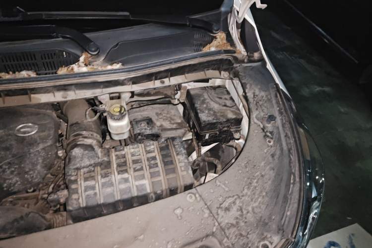 Used GAC Trumpchi M8 2020 Flagship Model 390T Deluxe Edition Engine Bay Left