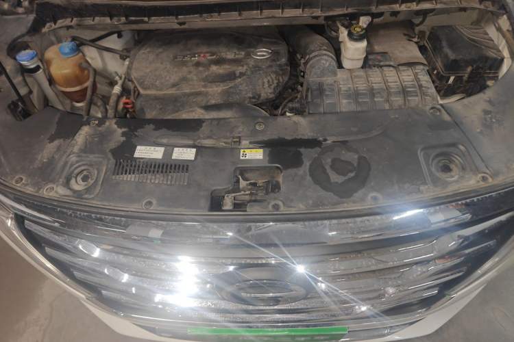 Used GAC Trumpchi M8 2020 390T Deluxe Edition Engine Bay