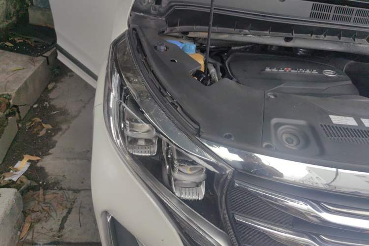Used GAC Trumpchi M8 2020 Flagship Model 390T Prestige Edition Exterior 6